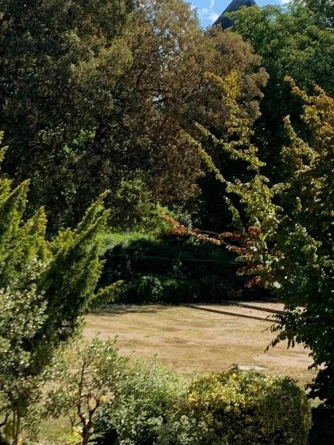 Reims Centre-Ville - 2 Chambres - 6 Personnes Au 1 Er Etage מראה חיצוני תמונה
